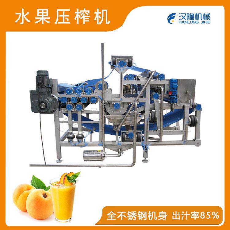 厂供饮料生产设备大型工业水果压榨机黄桃子水蜜桃履带式榨汁机