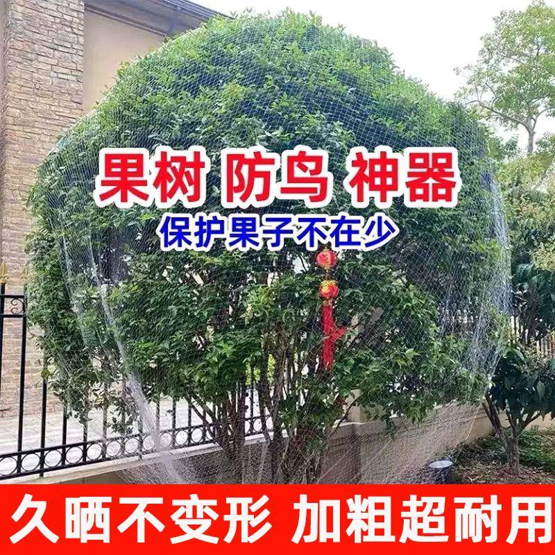 果树防鸟罩专网农用防鸟丝网果园天网嘉宝果树防鸟罩子阳台防鸟网