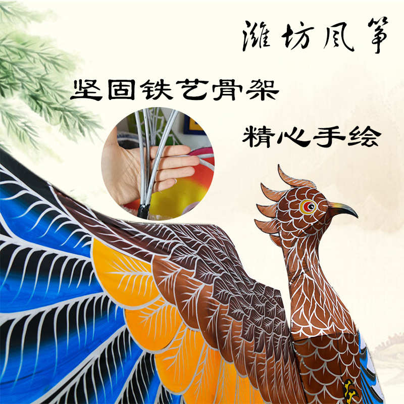 装饰燕子拍摄风筝风筝蝴蝶览风筝节铁户外活动金鱼大型艺展新款