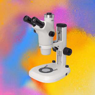 NSZ 608T永新三目变倍体视显微镜上下光源平行光CCD漫反射显微镜
