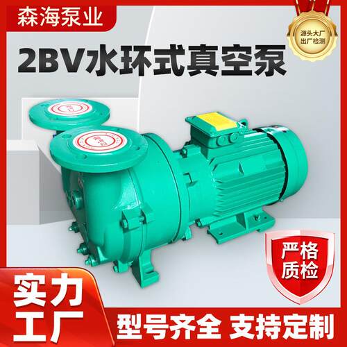 厂家直供2BV水环式真空泵工业机械用高真空水循环泵不锈钢真空泵