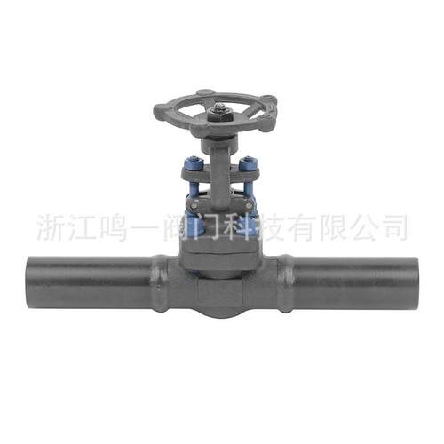 锻钢闸阀PE延长阀体闸阀锻造A105N-LF2两端焊接加长管100MM闸阀