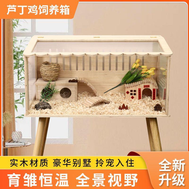 芦丁鸡养殖箱宠物仓鼠饲养箱笼子观景全套造景小木屋观保温专用箱