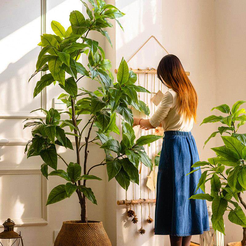 掬涵大型彷真绿色植物月桂树盆栽客厅室内落地装饰彷生植物盆景摆
