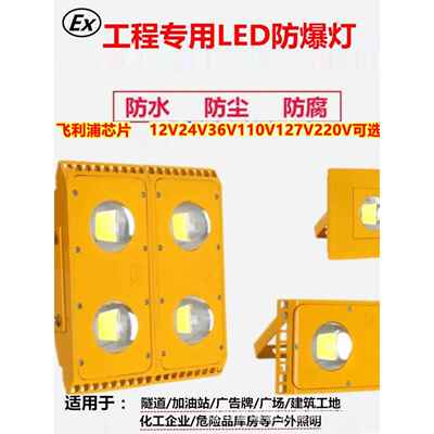 LED防爆投光灯低压12V24V36V110V127V220V380V隧道工地台车冷库灯