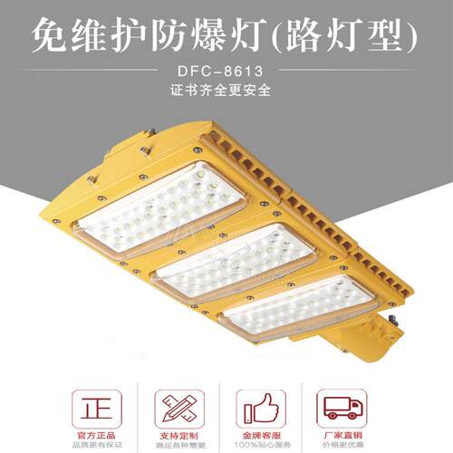 厂家直销防爆路灯5060直径80W100W6m8m单臂加油站高杆led灯