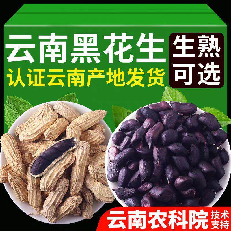 农科院云南黑花生新货带壳生的炒熟普洱特产富黑皮硒花生米富硒
