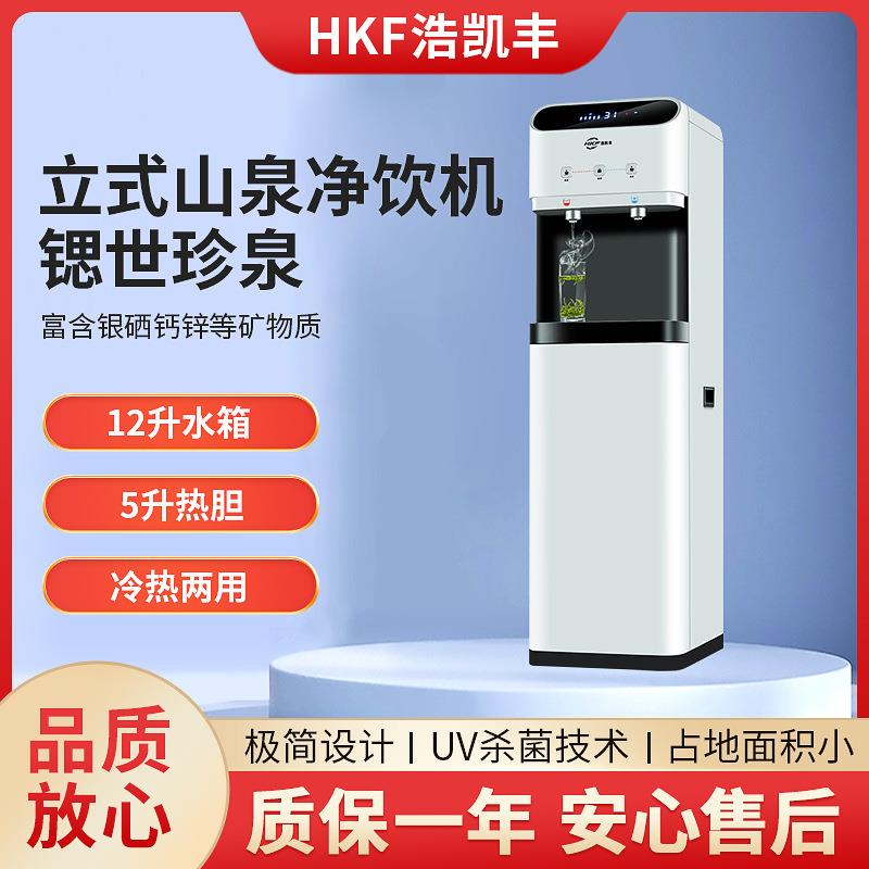 企业前台立式直饮水净饮机12升商用过滤加热一体富锶弱碱性净水机