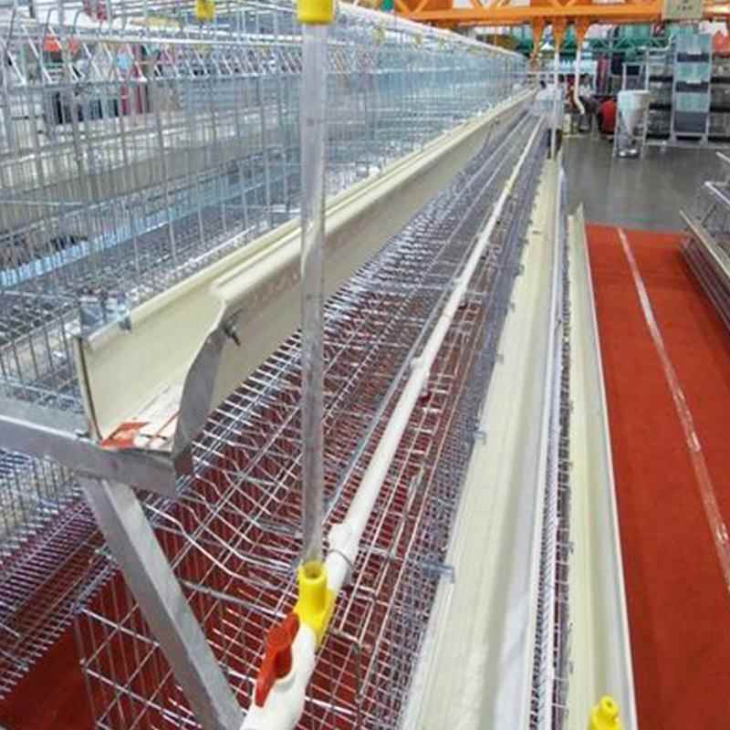 自动化阶梯式养鸡蛋鸡设备多层A型养殖笼全新笼具宏伟机械鸡笼