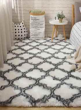 长毛地毯卧室款面积满铺客厅茶几QS-0110#床边毯少女房大间网同毛