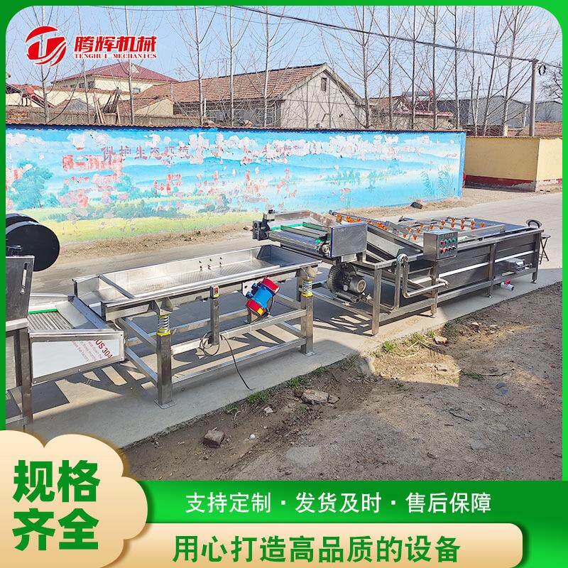 厂家加工黄豆芽气泡清洗机 不锈钢毛椿臭氧洗菜机 大型果蔬清洗机