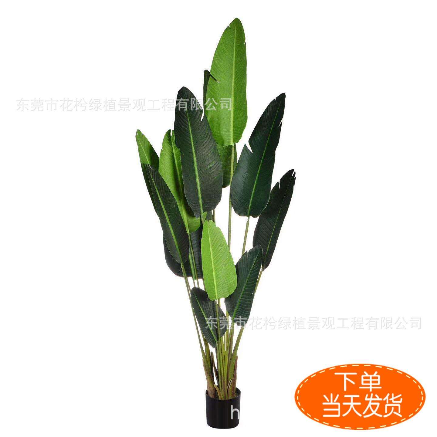 仿真旅人蕉植物仿真绿植盆景大型植物盆栽树装饰家居卧室摆件厂家