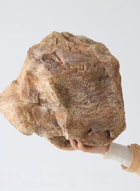 彷真黄色石头沙生石绿植造景不规则假山悬挂橱窗园林景观石摆件