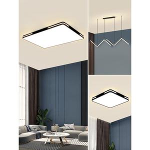 新款客厅吊灯餐厅主卧室吸顶灯具现代简约大气法式2024新款北欧风