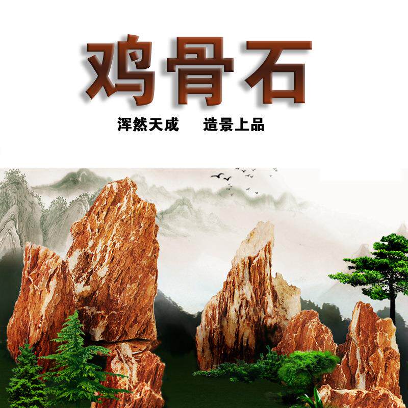 鱼缸造景鸡骨石 水族观赏鱼缸造景石草缸千层石青龙石松皮石组合