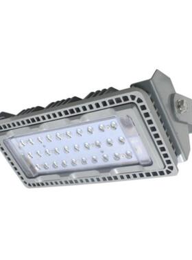 DSFG-937 LED投光灯 LED泛光灯100W