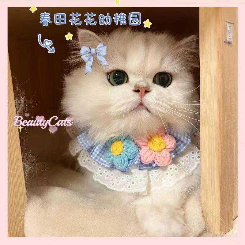 猫咪狗狗围脖围领宠物口水巾兔子饰品布偶英短美短蓝白泰迪比熊