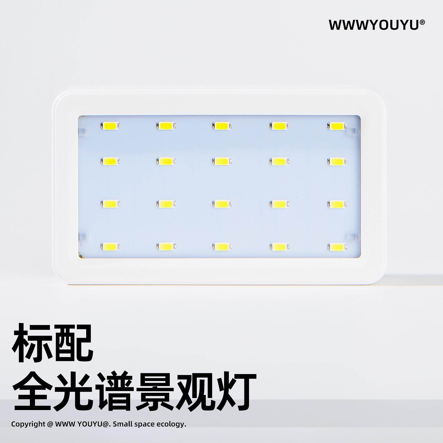 家居床头宿舍桌面小型迷你生态斗鱼缸装饰摆件夜灯微景观静音解压