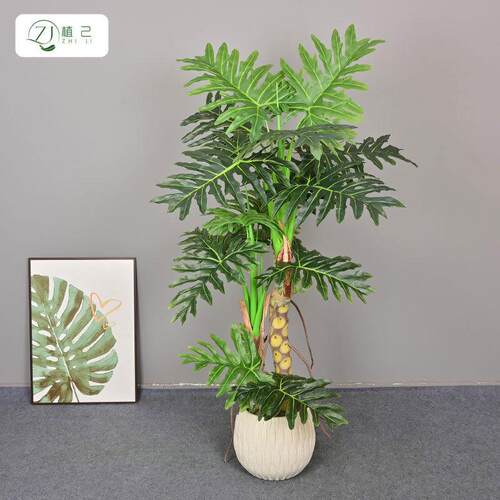 仿绿室植喜林芋春龟背盆栽内家居软装橱窗装饰摆件芋植物zj52330