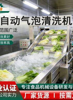 娃娃菜芥菜气泡清洗机绿豆菠菜自动清洗机洗菜机果蔬清洗机