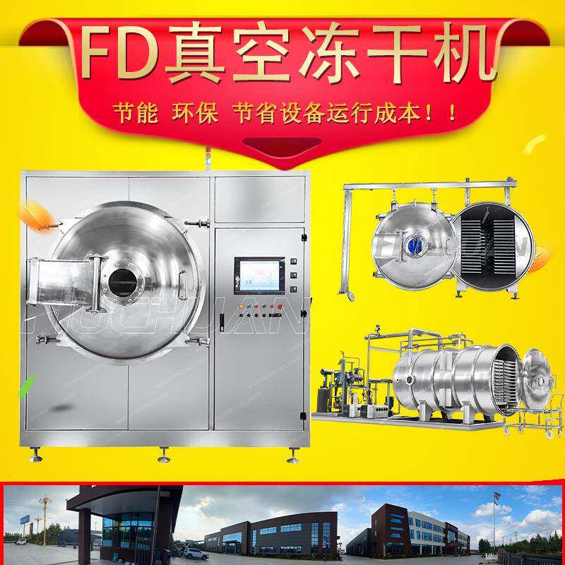源头厂家冻干机高品质专业真空冷冻干燥机厂家来料制作冻干设备