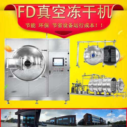 源头厂家冻干机高品质专业真空冷冻干燥机厂家来料制作冻干设备