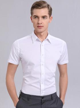 正品白衬衫男士短袖韩版纹修身免熨烫商务端高结婚斜夏蓝色半袖衬