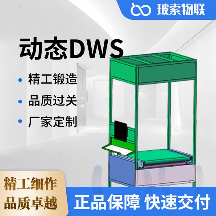 动态DWS
