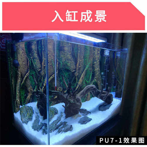 板背景爬1缸树根 60pu7牌造景琪墙*宠彩45箱鱼缸-龟绿苔