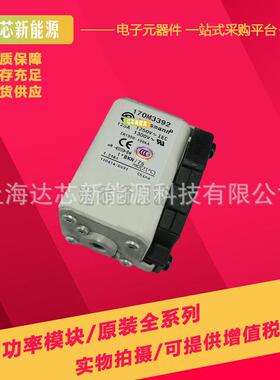 170M3438 170M3439 170M3440 170M3441 170M3442 170M3443熔断器