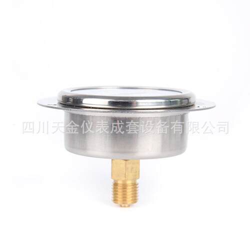 耐震压力表轴向压力表YN60ZT带前边背式抗震水压表油压表1.6MPA