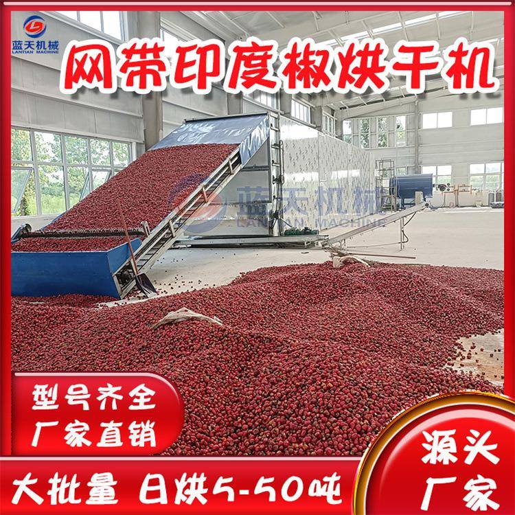 网带印度椒烘干机全自动印度魔鬼椒干辣椒烘干设备断魂椒干燥机