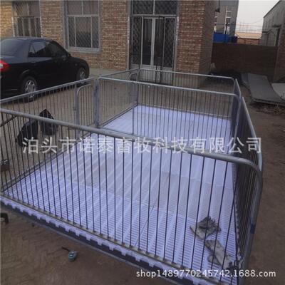 自动化养猪设备仔猪保育床复合板材质小猪保育床