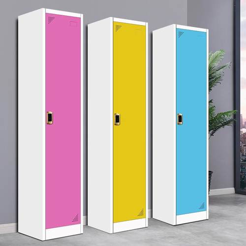 广州单人1门2门彩色存更衣柜员工个物储柜健身房DS-0013单门私人