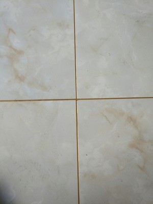 深度分析缝皇水性环氧1500g美缝剂怎么样，使用全过程大曝光，不看后悔