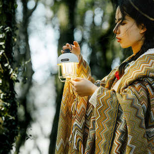 Luingbox露营盒子户外灯超长续航氛围灯野营帐篷灯led复古照明灯