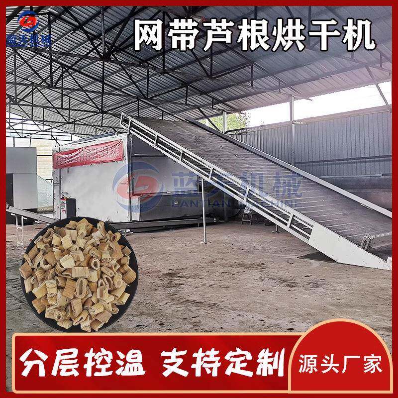 网带芦根烘干机大型芦苇根苇子根哄干机芦苇茎芦茅根药材干燥机