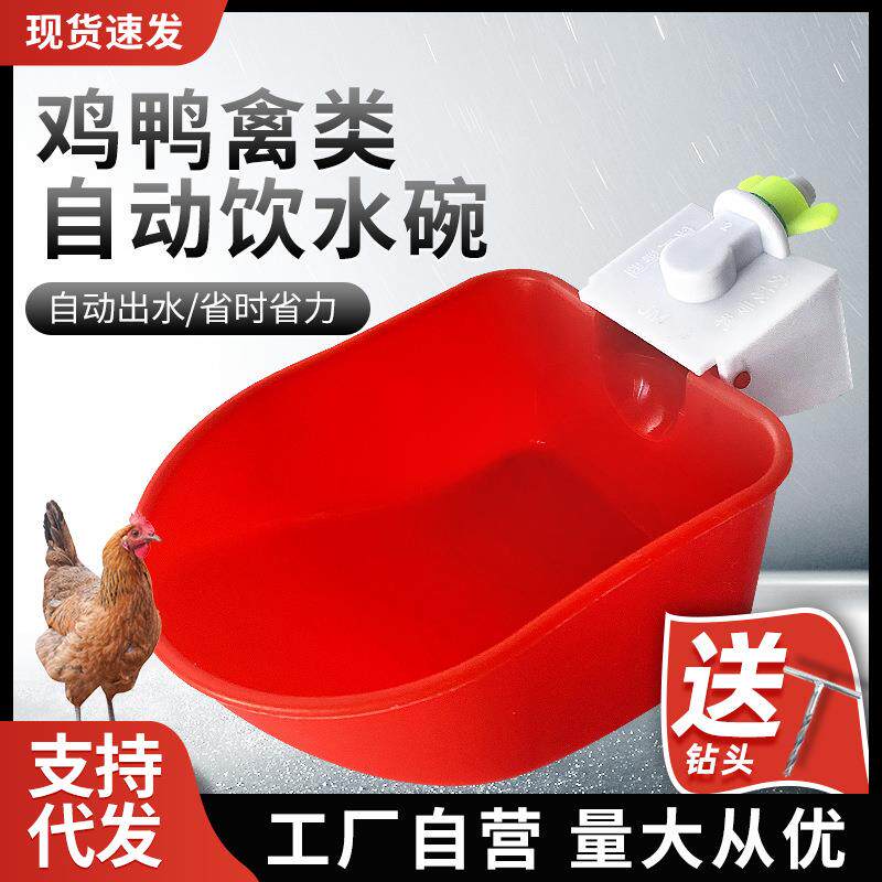 鸡用自动饮水器养殖小鸡喝水喂水器家禽雏鸡喂水碗鸭鹅饮水碗蛋鸡