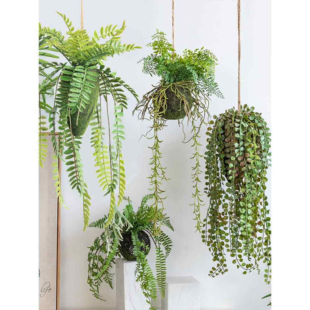 氧气森林悬挂吊饰装饰垂吊绿植盆栽吊顶壁挂彷真蕨类植物挂饰摆件