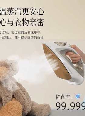 红心蒸汽电熨斗2024新款YSH1379家用大功率手持便携电烫斗烫衣服