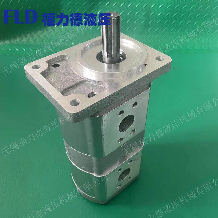 CBQL-F540/F520-CFH CBQL-E563/F525-CFH 双联齿轮油泵