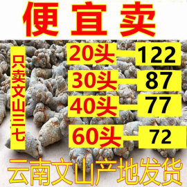 云南文山三七20头30头40头60头500g