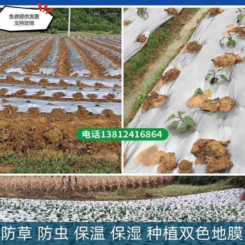 种植农用银黑地膜反光双色塑料薄膜果树果园保温保湿加厚除草膜