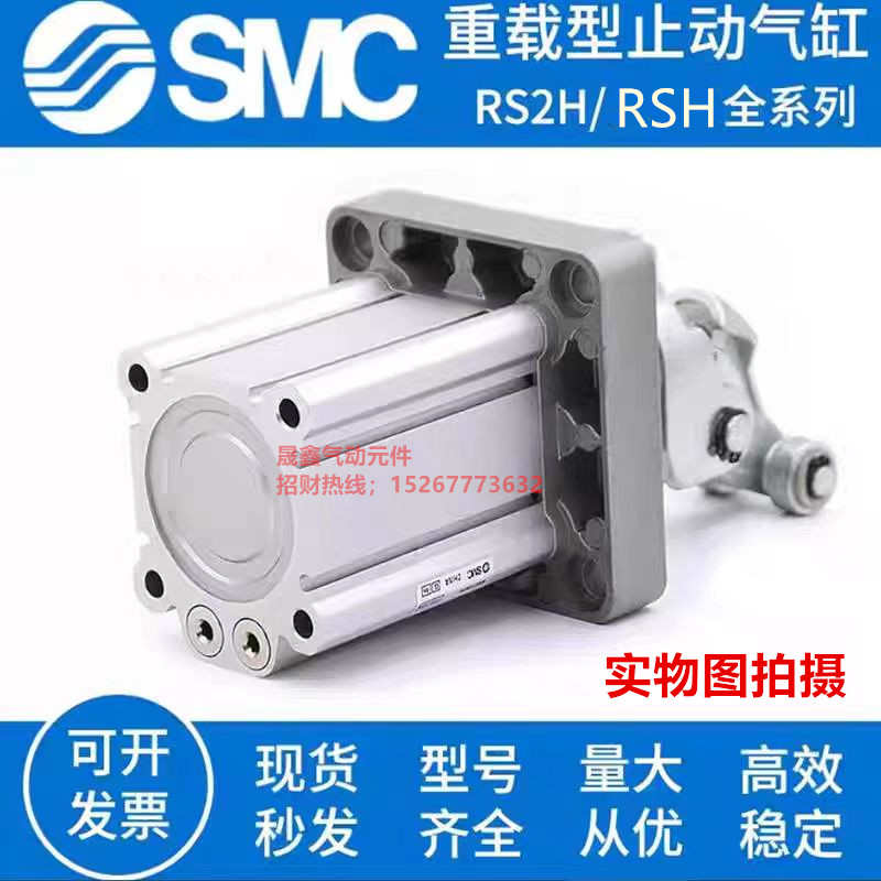 SMC阻挡气缸RS2H50-30DL/DM/BL/TL/TM-D/RSA50-30DL/DM/TM-D-2700