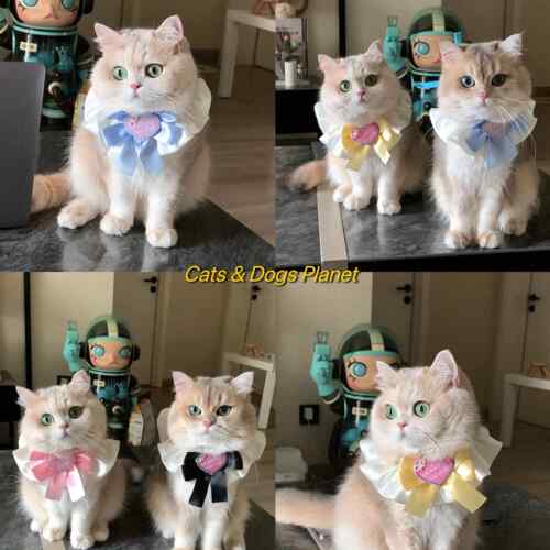薄荷同款猫围巾小猫唾液围巾项圈围兜宠物围巾项圈小狗米口袋领结