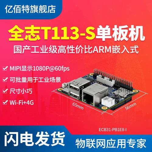 亿佰特全志T113-S 单板机 WI-FI4G 双核ARM A7 1.2GHz RISC-V DSP