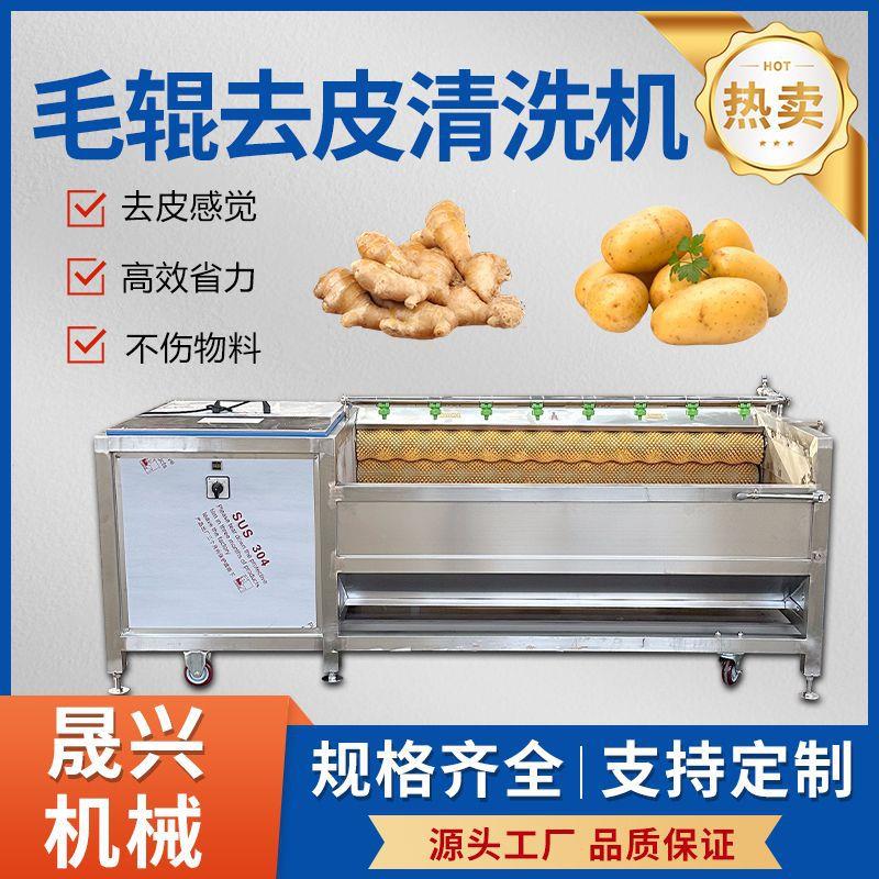 商用毛辊去皮清洗机土豆红薯生姜胡萝卜去皮清洗一体机304不锈钢