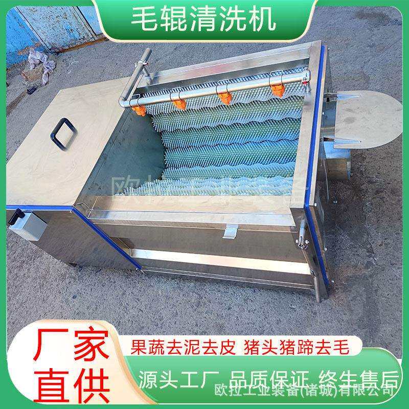 辣丝子前处理清洗设备 大产量速花生清洗机 毛刷地瓜去皮清洗机