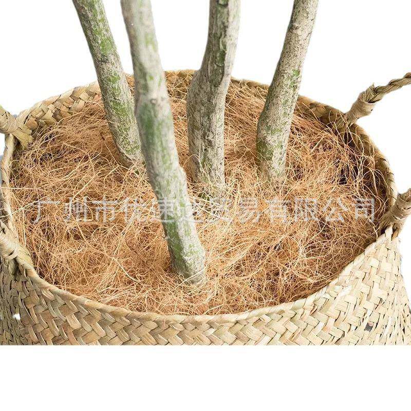 椰棕丝椰丝椰壳纤维盆栽铺面椰丝纤维麻棕丝花卉种植遮盖椰纤维丝