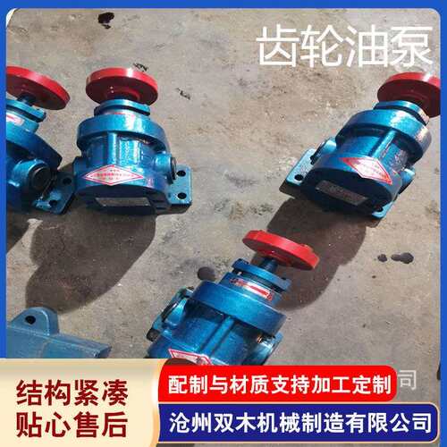 泊双木供应油泵2CY 系列齿轮油泵CB系列过滤机配套齿轮泵现货